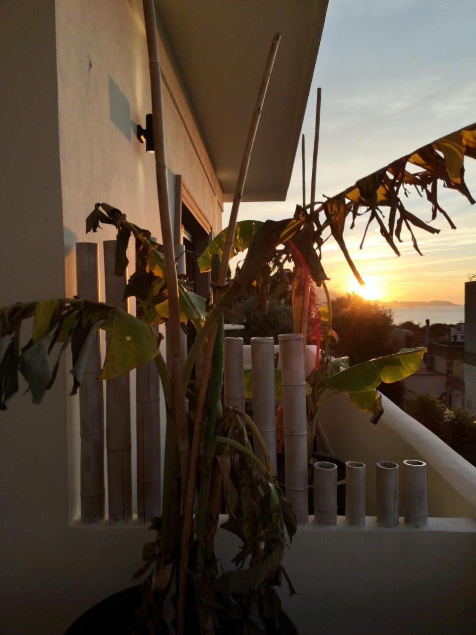 B&B Villa Rosalia Procida Ngoại thất bức ảnh