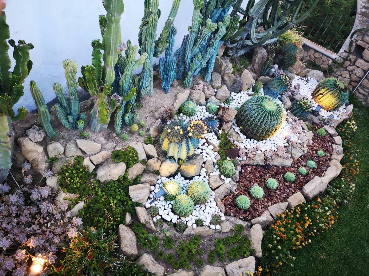 B&B Villa Rosalia Procida Ngoại thất bức ảnh